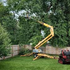 Best Tree and Shrub Care  in Flemington, NJ